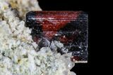 Brookite Crystals on Matrix - Pakistan #111339-3